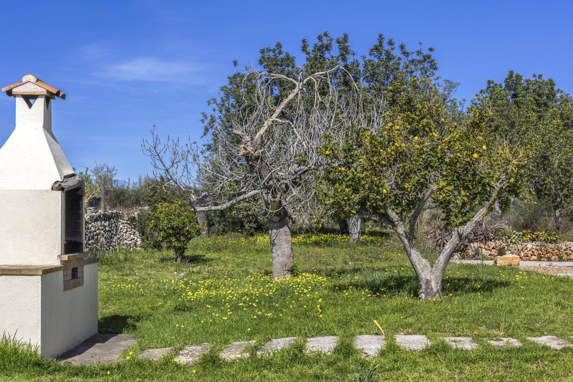 Finca Sa Torreta Santa Margalida Kültér fotó