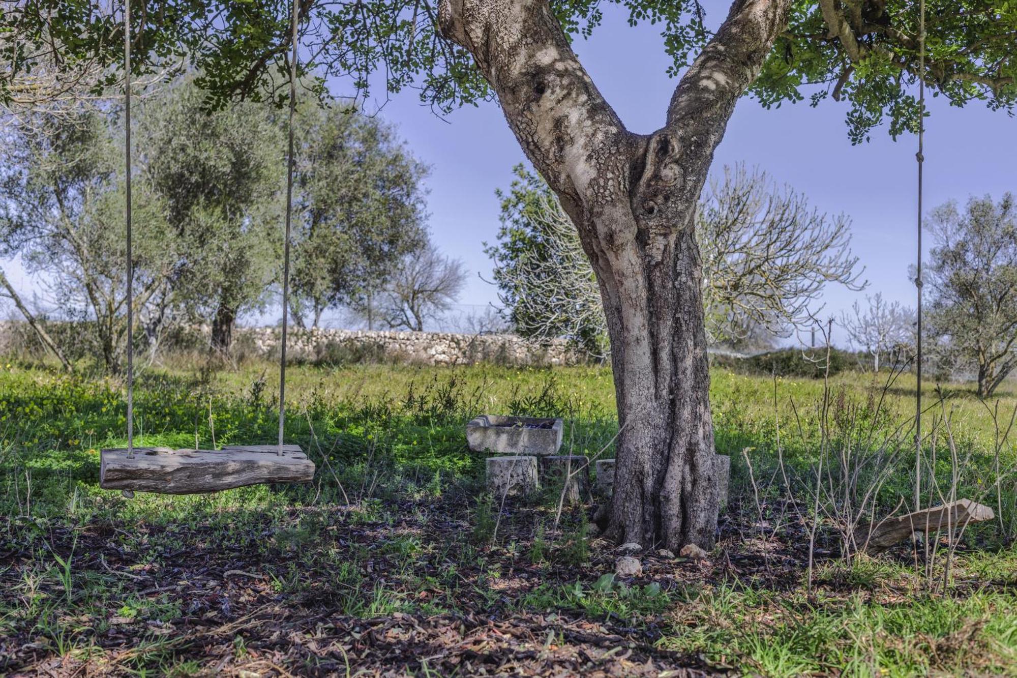 Finca Sa Torreta Santa Margalida Kültér fotó